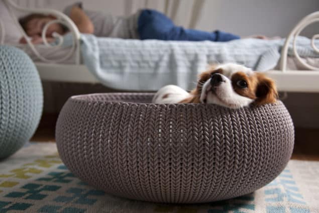 Cozy Designer Pet Bed from the Knit collection by Curver - image credit to Daniel Lailah