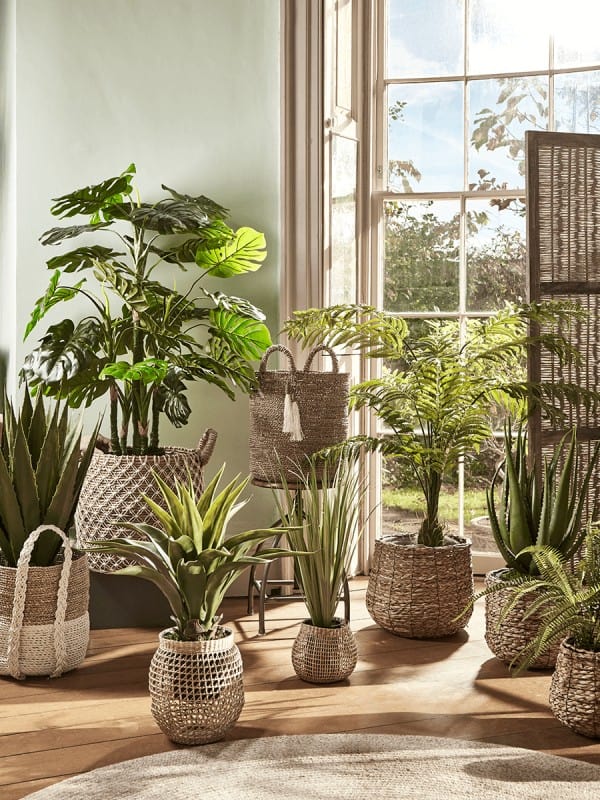 Cox and Cox faux plants would make a perfect Mother's day gift