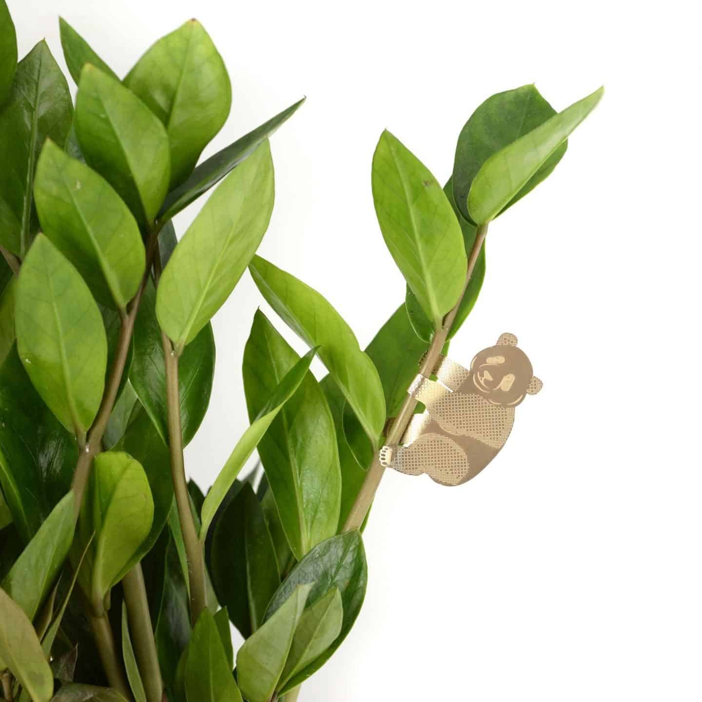 Gifts for plant lovers. These brass animal decorations from Another Studio can be hung on trees and plants 