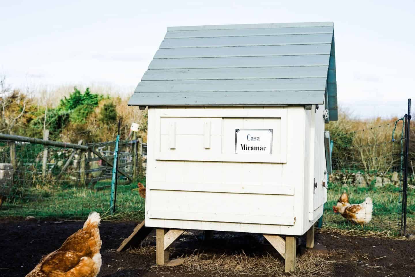 enamel house signs by Ramsign seen on a chicken coup