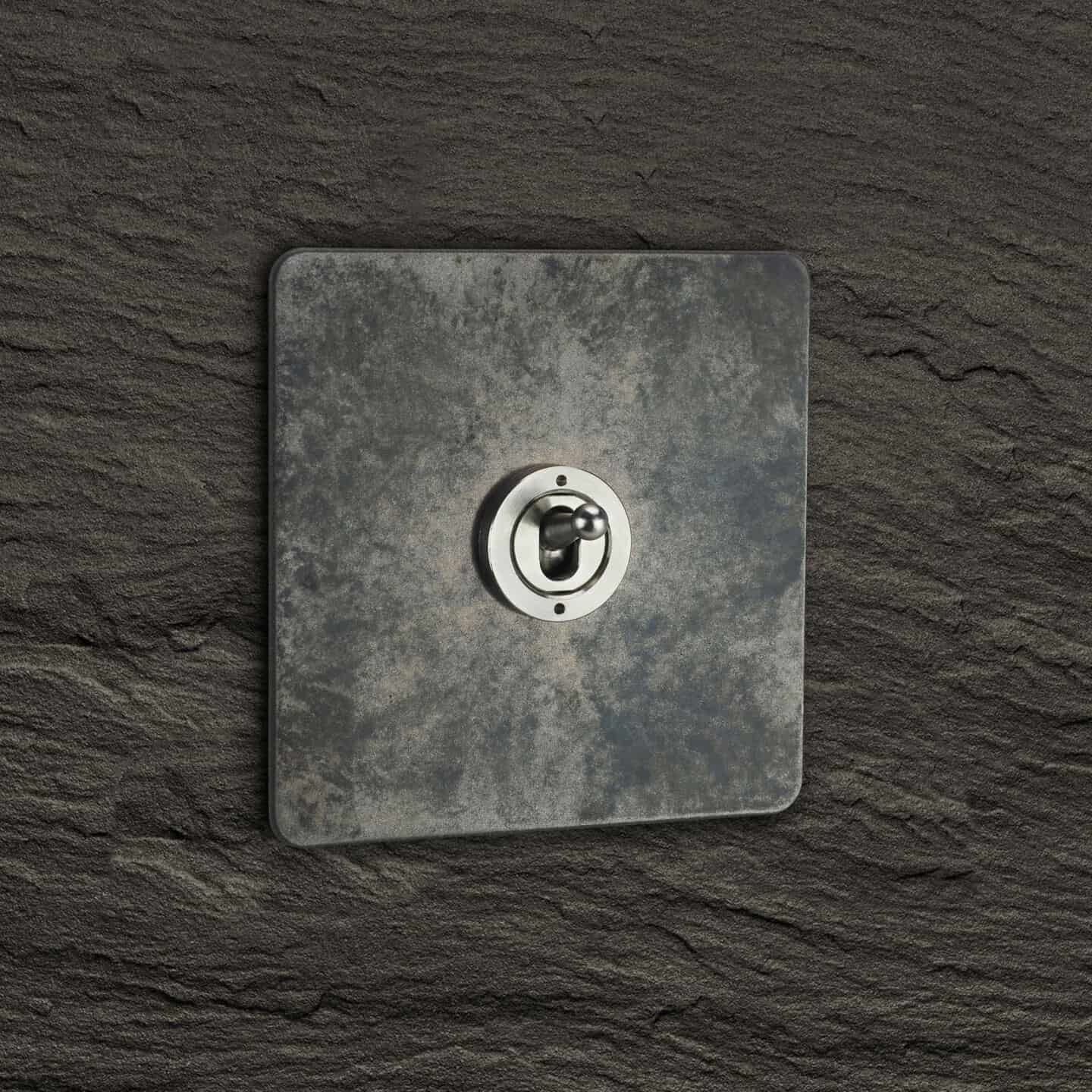 Focus SB nature-inspired light switch in antique nickel silver
