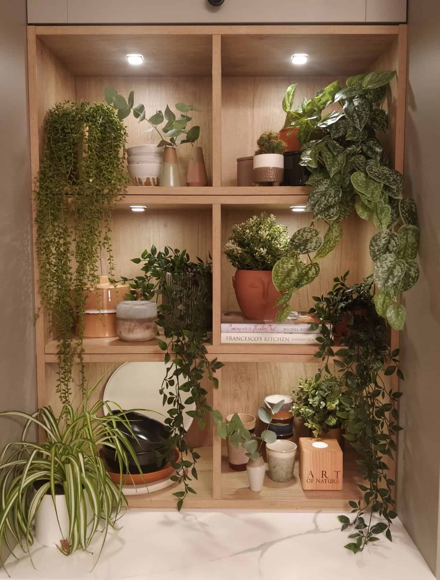 Built-in shelving in Magnet's Tatton Kitchen has been filled with plants and accessories according to the principles of biophilic design
