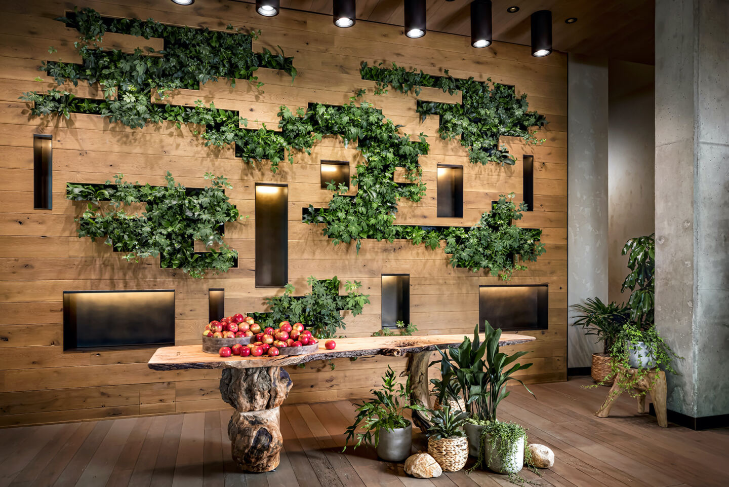 The living wall at 1 Hotel Toronto, a biophilic hotel that celebrates the beauty of Toronto’s natural environment