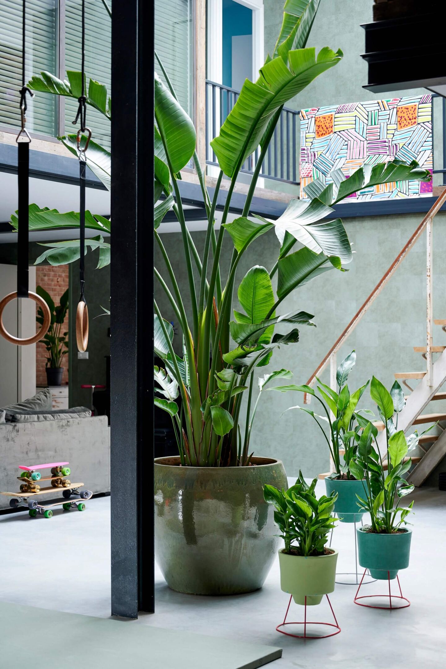 Potted houseplants in an industrial style warehouse home