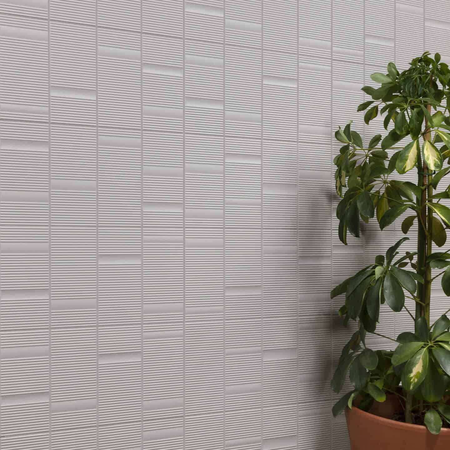Grey textured wall tiles with a plant in front