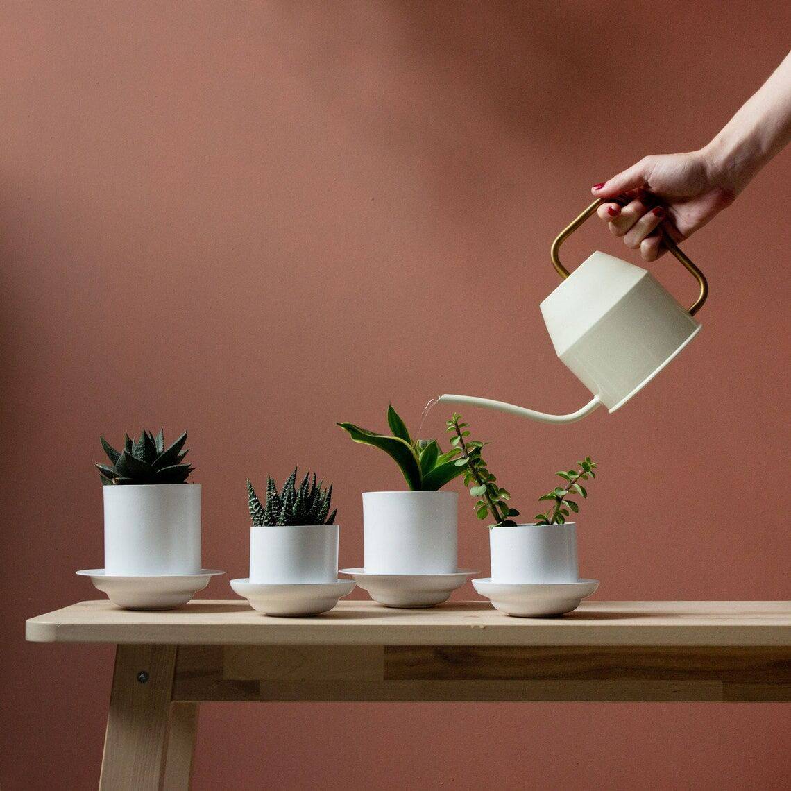 A woman's hand holds a watering can and waters four small plants in white ceramic planters