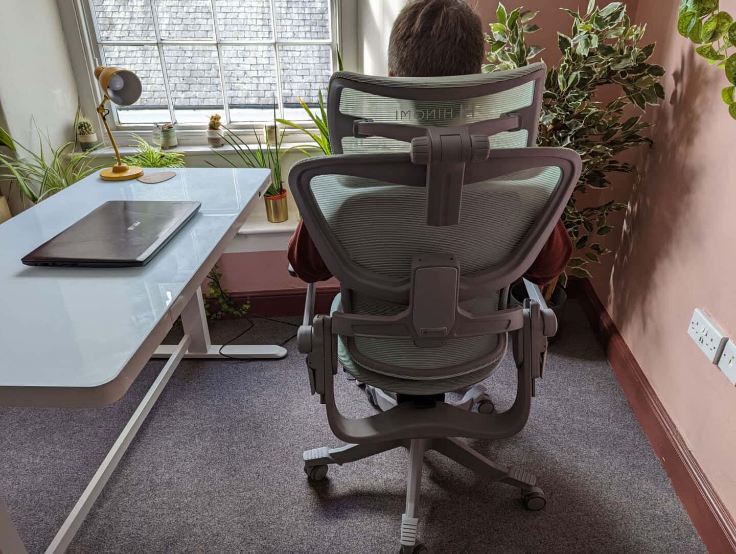 A rear view of a woman sat in an office chair in a pink office surrounded by plants