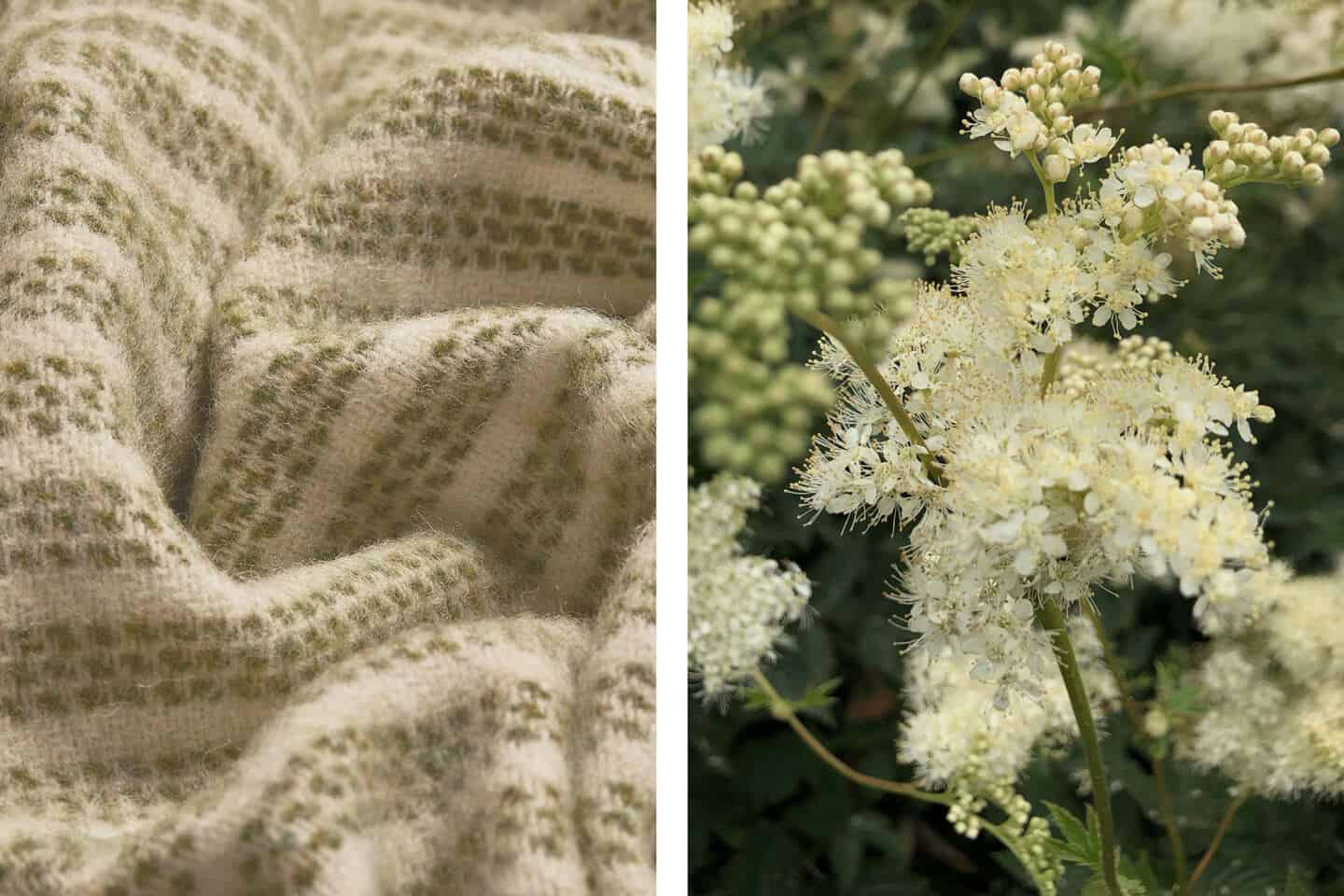 Ein Foto einer Decke neben einem Foto von Blumen, das zeigt, wie die Natur die Wahl der Wohnkultur inspirieren kann
