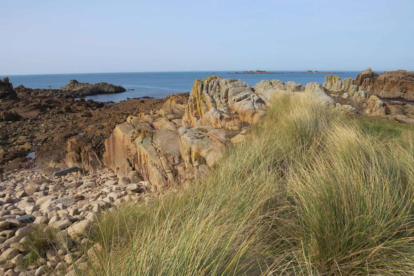 An image of a rugged rocky beach and sea grass provides inspiration for the biophilic home