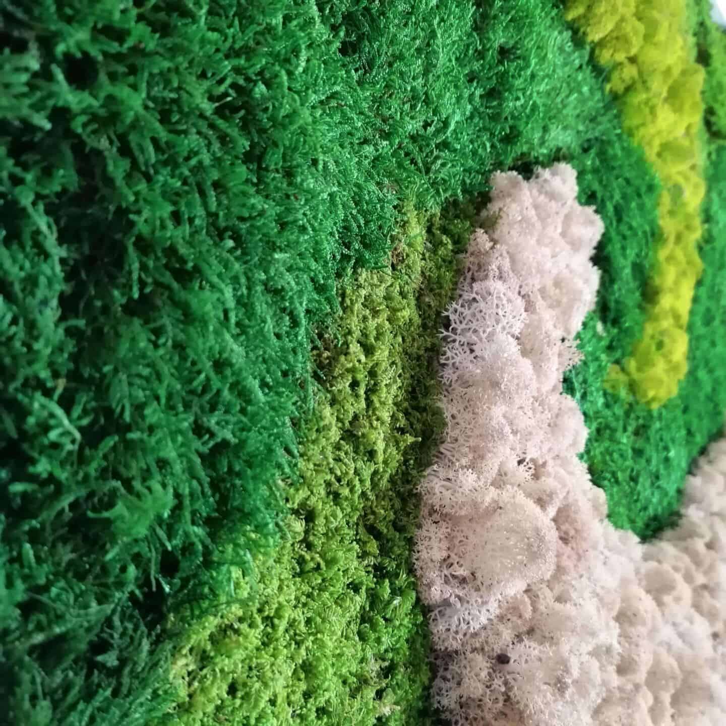 A close up of the moss used in the preserved moss wall art created by Ninfa Studio