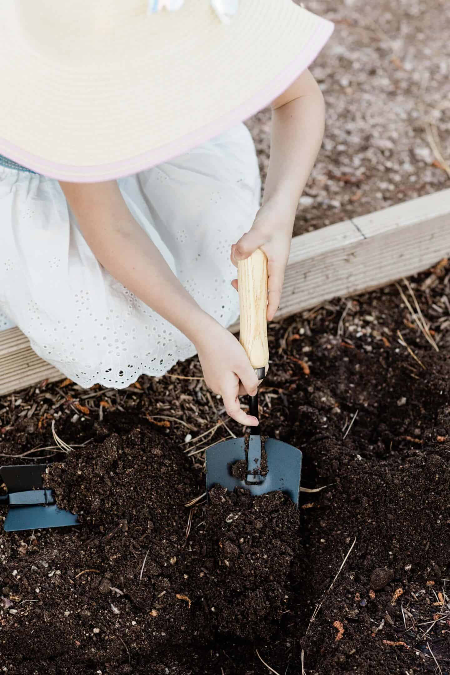 A young girl in a white Broderie Anglaise dress digs in some garden soil with a trowl
