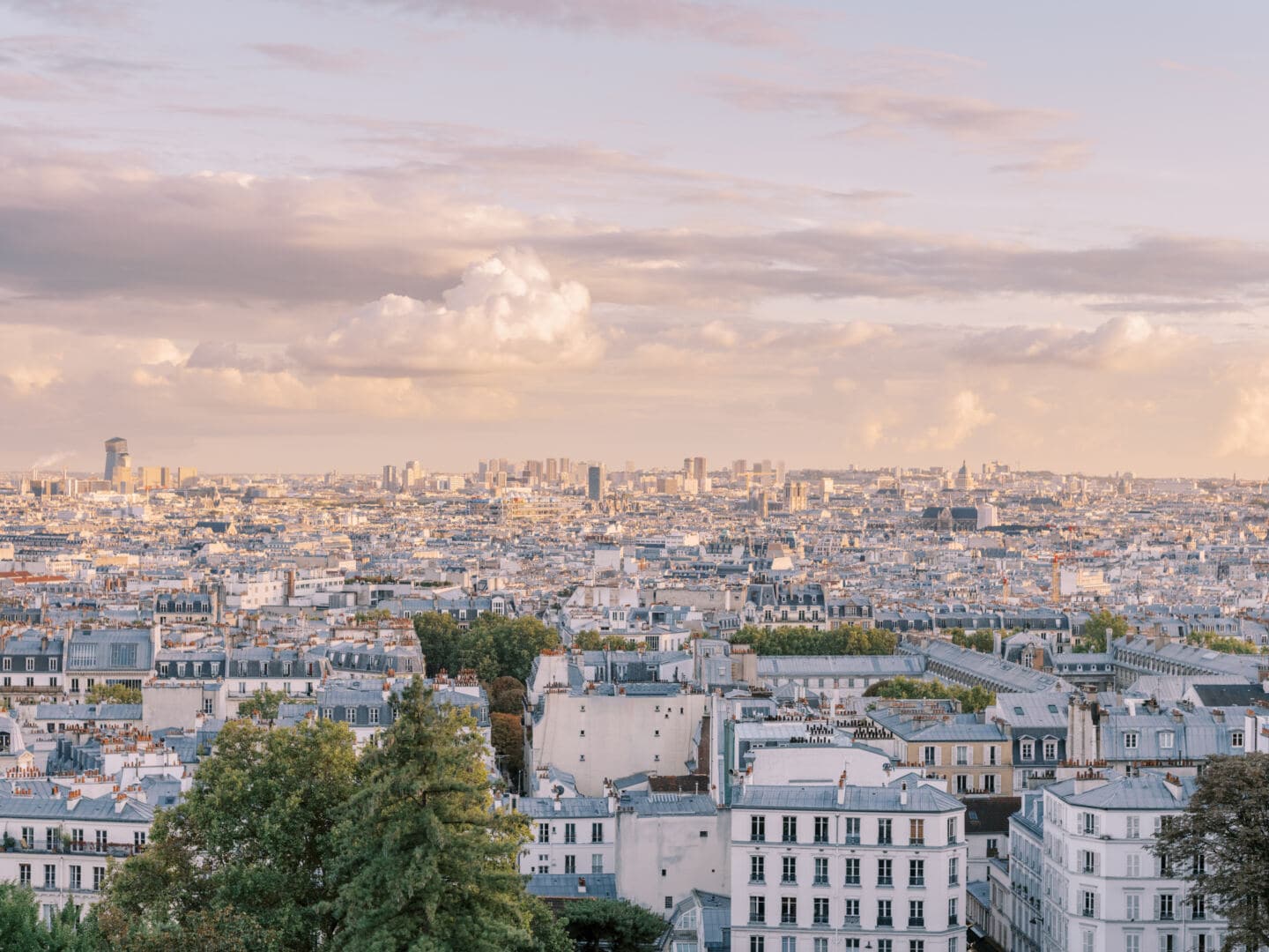 A panoramic view of Paris