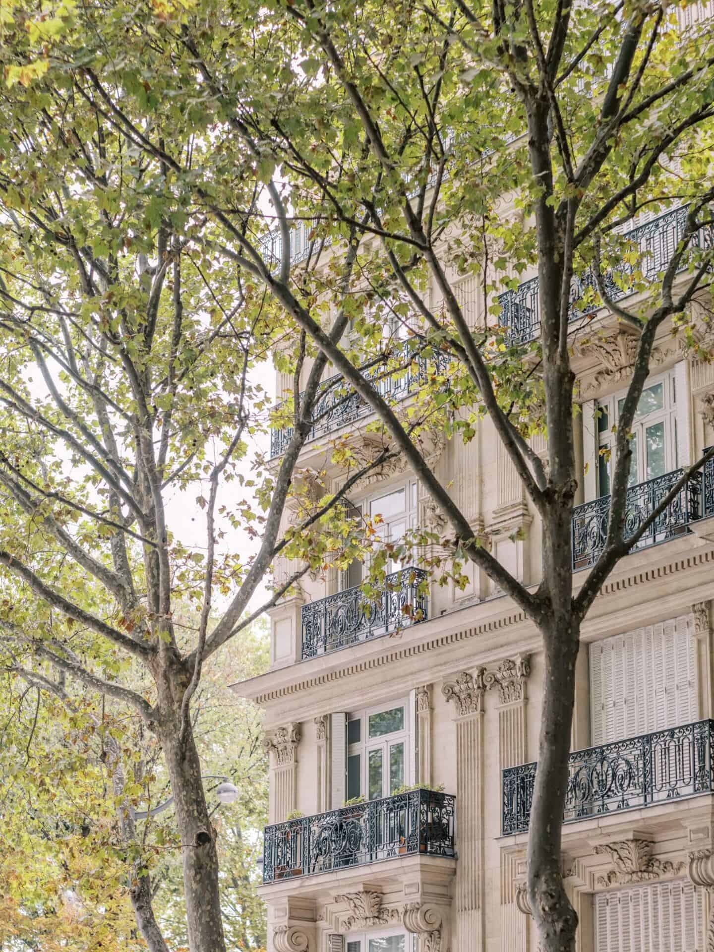 A tree-lined street in Paris with beautiful architecture visible through the trees